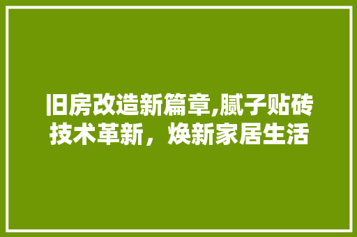 旧房改造新篇章,腻子贴砖技术革新，焕新家居生活 装修攻略