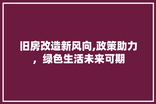 旧房改造新风向,政策助力，绿色生活未来可期