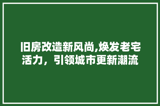 旧房改造新风尚,焕发老宅活力，引领城市更新潮流 墙面装饰