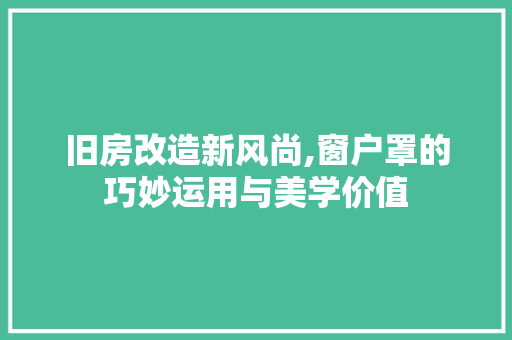 旧房改造新风尚,窗户罩的巧妙运用与美学价值