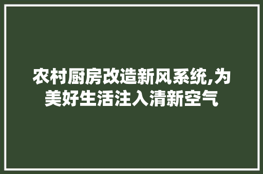 农村厨房改造新风系统,为美好生活注入清新空气