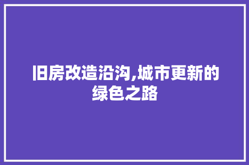 旧房改造沿沟,城市更新的绿色之路