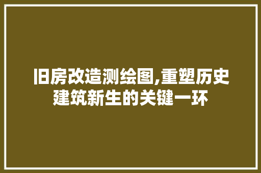 旧房改造测绘图,重塑历史建筑新生的关键一环