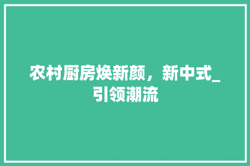 农村厨房焕新颜，新中式_引领潮流