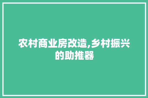 农村商业房改造,乡村振兴的助推器