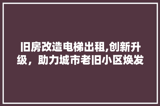 旧房改造电梯出租,创新升级，助力城市老旧小区焕发新生