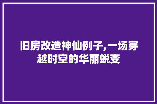 旧房改造神仙例子,一场穿越时空的华丽蜕变