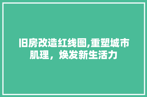 旧房改造红线图,重塑城市肌理，焕发新生活力