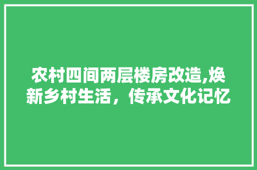 农村四间两层楼房改造,焕新乡村生活，传承文化记忆