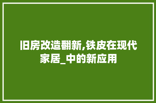 旧房改造翻新,铁皮在现代家居_中的新应用 景观设计