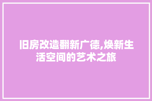 旧房改造翻新广德,焕新生活空间的艺术之旅