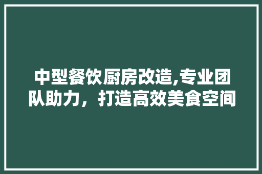 中型餐饮厨房改造,专业团队助力，打造高效美食空间