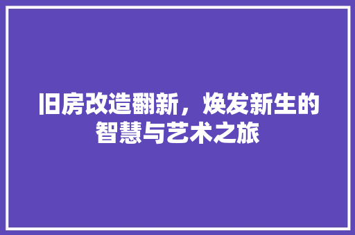 旧房改造翻新，焕发新生的智慧与艺术之旅