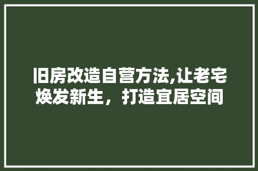 旧房改造自营方法,让老宅焕发新生，打造宜居空间