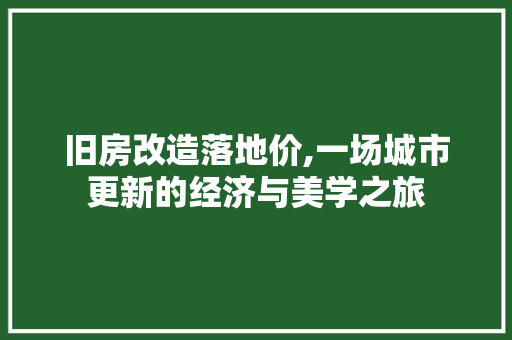 旧房改造落地价,一场城市更新的经济与美学之旅