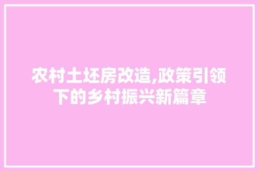 农村土坯房改造,政策引领下的乡村振兴新篇章