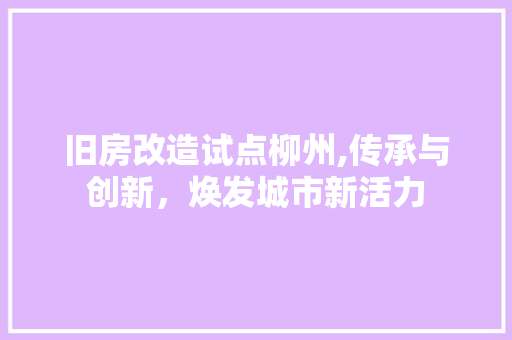 旧房改造试点柳州,传承与创新，焕发城市新活力