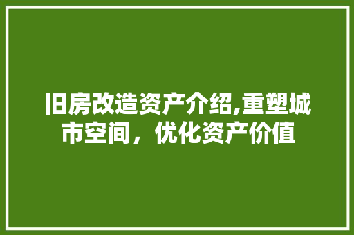 旧房改造资产介绍,重塑城市空间，优化资产价值