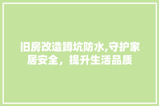 旧房改造蹲坑防水,守护家居安全，提升生活品质