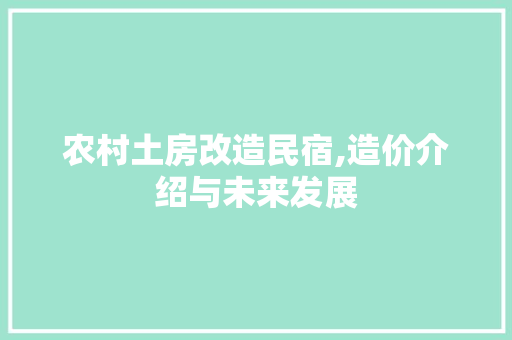 农村土房改造民宿,造价介绍与未来发展