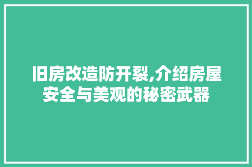 旧房改造防开裂,介绍房屋安全与美观的秘密武器