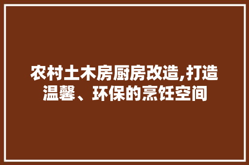 农村土木房厨房改造,打造温馨、环保的烹饪空间