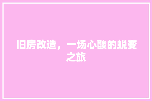 旧房改造，一场心酸的蜕变之旅