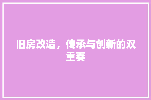 旧房改造，传承与创新的双重奏