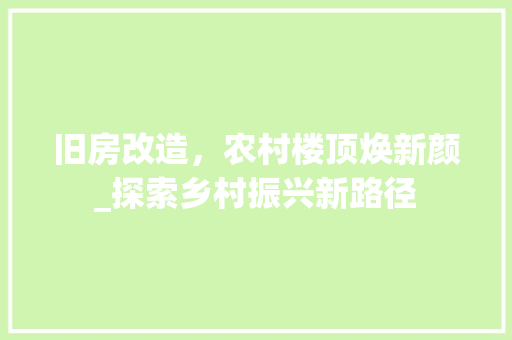 旧房改造，农村楼顶焕新颜_探索乡村振兴新路径