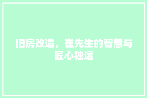 旧房改造，崔先生的智慧与匠心独运
