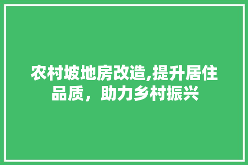农村坡地房改造,提升居住品质，助力乡村振兴