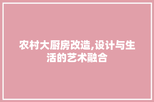 农村大厨房改造,设计与生活的艺术融合