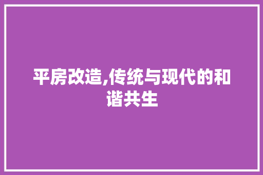 平房改造,传统与现代的和谐共生