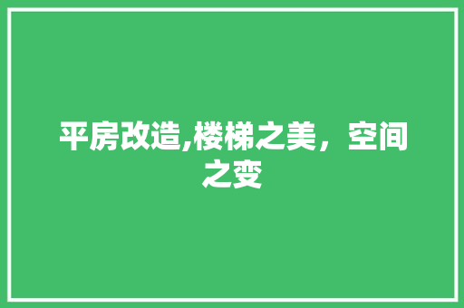 平房改造,楼梯之美，空间之变