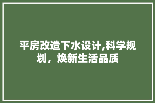 平房改造下水设计,科学规划，焕新生活品质