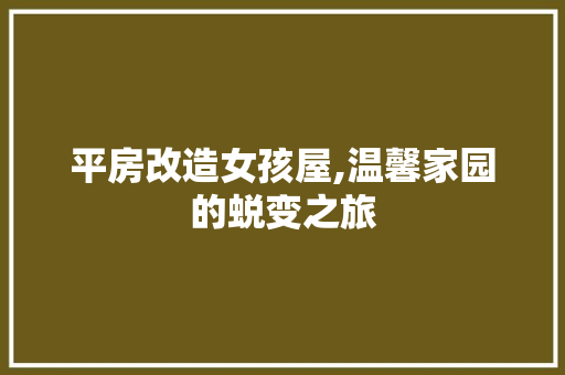 平房改造女孩屋,温馨家园的蜕变之旅