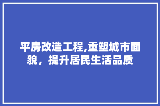 平房改造工程,重塑城市面貌，提升居民生活品质