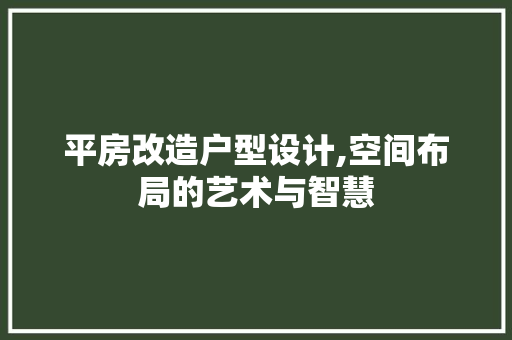 平房改造户型设计,空间布局的艺术与智慧