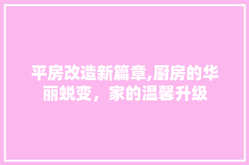 平房改造新篇章,厨房的华丽蜕变，家的温馨升级 装修材料