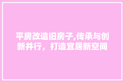平房改造旧房子,传承与创新并行，打造宜居新空间