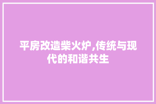 平房改造柴火炉,传统与现代的和谐共生