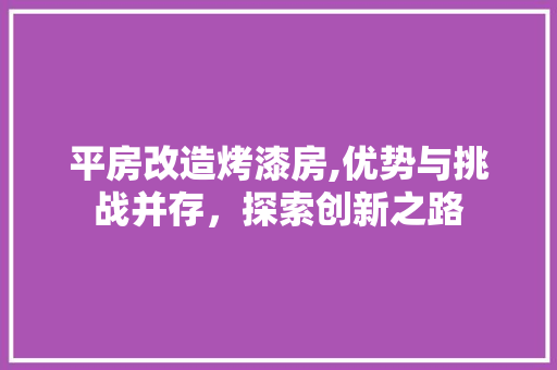 平房改造烤漆房,优势与挑战并存，探索创新之路