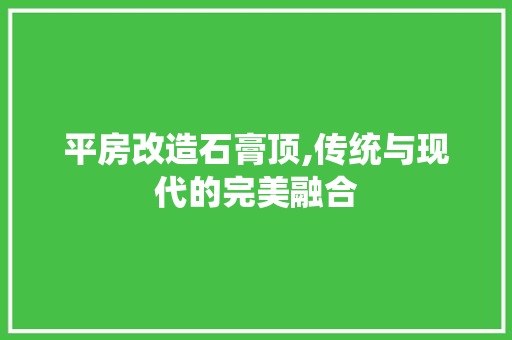 平房改造石膏顶,传统与现代的完美融合