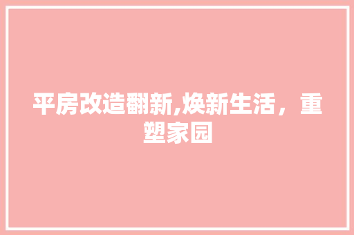 平房改造翻新,焕新生活，重塑家园