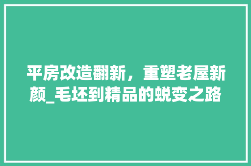 平房改造翻新，重塑老屋新颜_毛坯到精品的蜕变之路