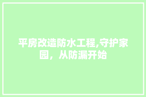 平房改造防水工程,守护家园，从防漏开始