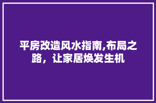 平房改造风水指南,布局之路，让家居焕发生机