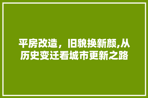 平房改造，旧貌换新颜,从历史变迁看城市更新之路