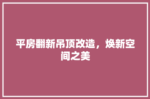 平房翻新吊顶改造，焕新空间之美 建筑设计