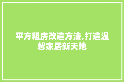 平方租房改造方法,打造温馨家居新天地